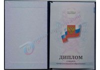 Диплом техникума, колледжа  2011-2013 год